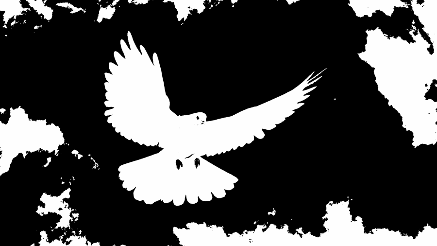 bird_thresh.png