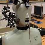 Head and torso simulator